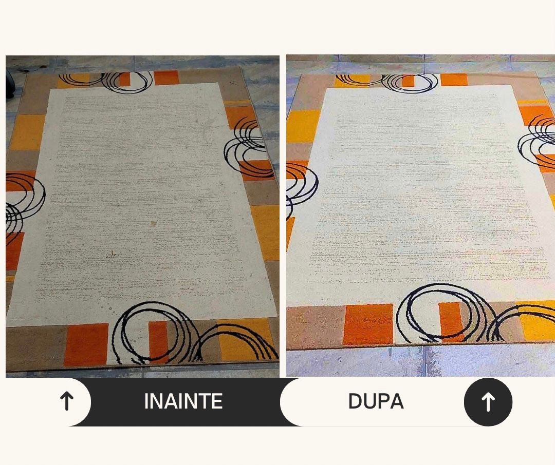 Proces Curățare Covoare