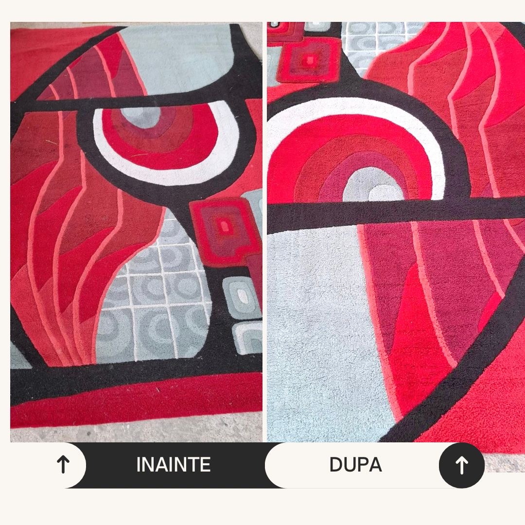 Echipamente Spălătorie Covoare